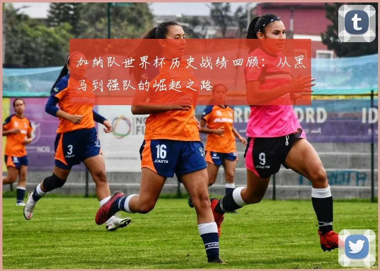 加纳队世界杯历史战绩回顾：从黑马到强队的崛起之路